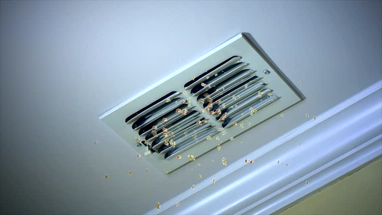 Best Air Duct Cleaning Company Near Me  in Swanton, OH