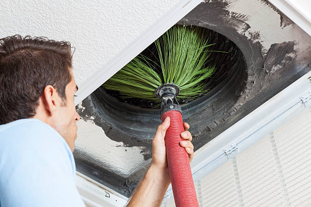 Best Air Duct Cleaning Near Me  in Swanton, OH